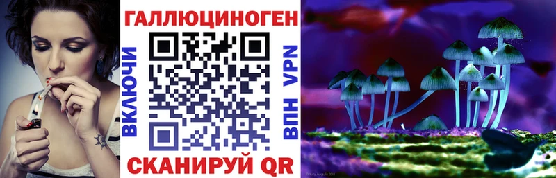 Псилоцибиновые грибы Psilocybine cubensis  Ивдель 